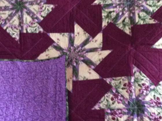 carnationpinwheels-back