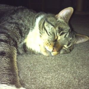 quiltingsupervisor600